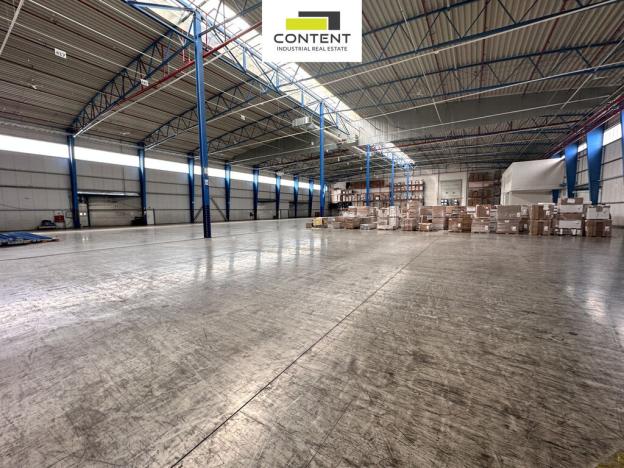 Pronájem výrobních prostor, Kněževes, Nad Kovárnou, 4264 m2