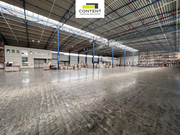 Pronájem výrobních prostor, Kněževes, Nad Kovárnou, 4264 m2