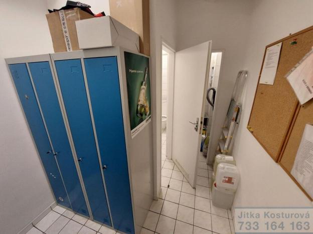 Pronájem restaurace, Krnov - Pod Bezručovým vrchem, Říční okruh, 116 m2