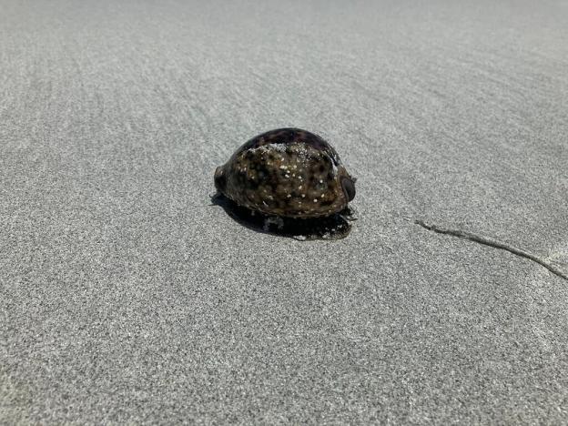 Prodej vily, Chwaka, Tanzanie, 115 m2