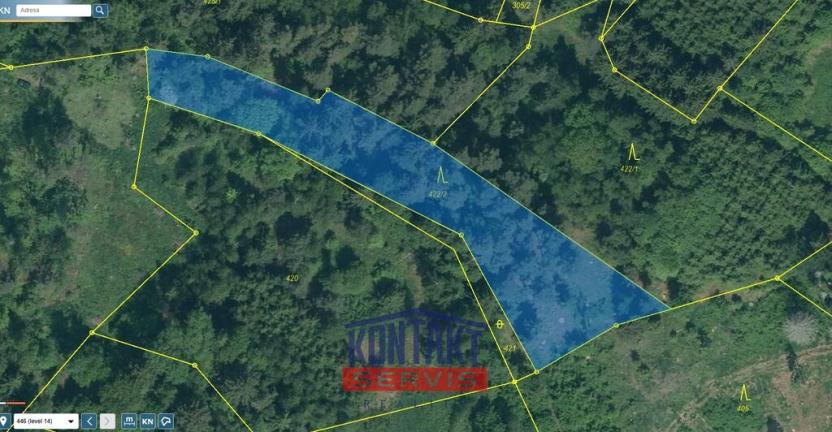 Prodej lesa, Bušanovice, 2562 m2