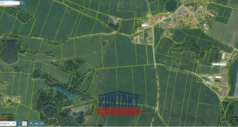 Prodej lesa, Bušanovice, 2562 m2