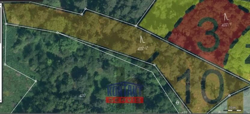 Prodej lesa, Bušanovice, 2562 m2