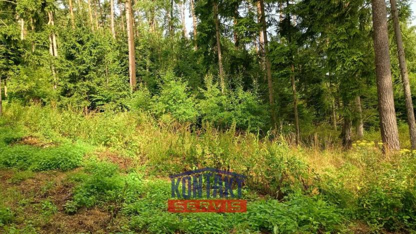 Prodej lesa, Bušanovice, 2562 m2