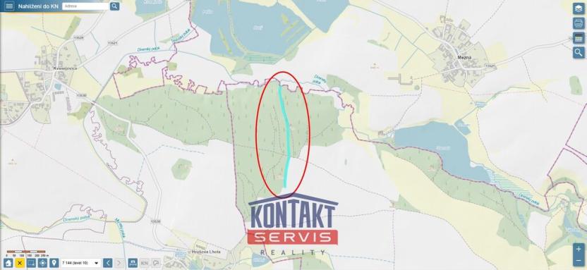 Prodej lesa, Třebějice, 10125 m2