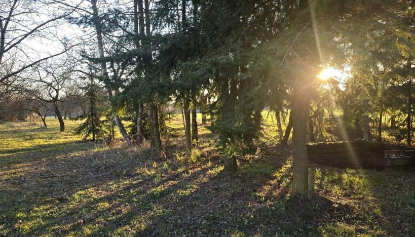 Prodej pozemku, Chocnějovice - Buda, 2533 m2