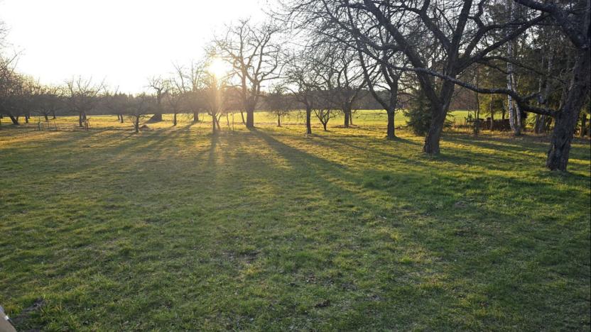 Prodej pozemku, Chocnějovice - Buda, 2533 m2