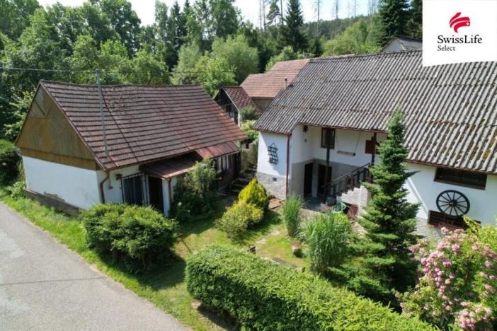 Prodej chalupy, Prosenická Lhota - Břišejov, 370 m2