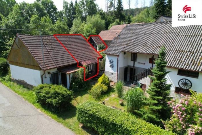 Prodej chalupy, Prosenická Lhota - Břišejov, 370 m2