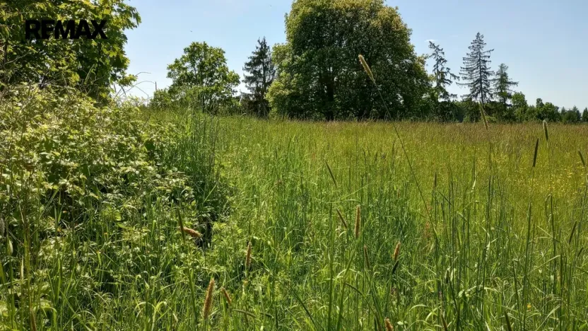 Prodej pozemku pro bydlení, Anenská Studánka, 4273 m2