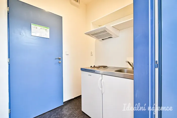Pronájem bytu 1+kk, Brno, Cejl, 31 m2