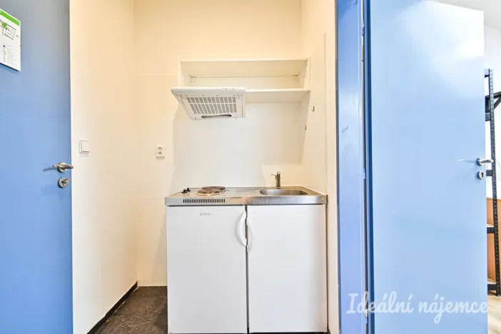 Pronájem bytu 1+kk, Brno, Cejl, 31 m2