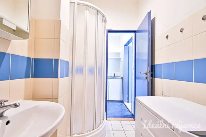 Pronájem bytu 1+kk, Brno, Cejl, 31 m2