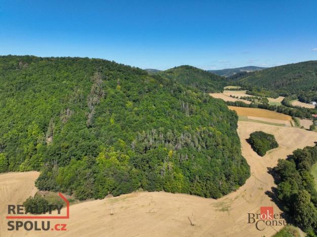 Prodej lesa, Lomnička, 8887 m2