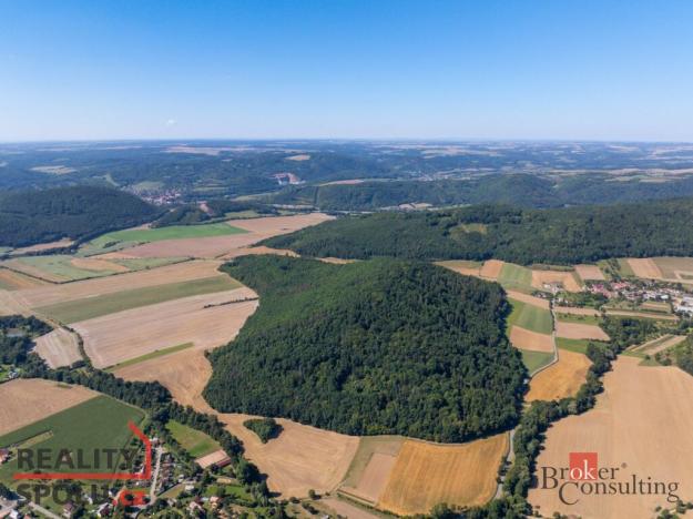 Prodej lesa, Lomnička, 8887 m2