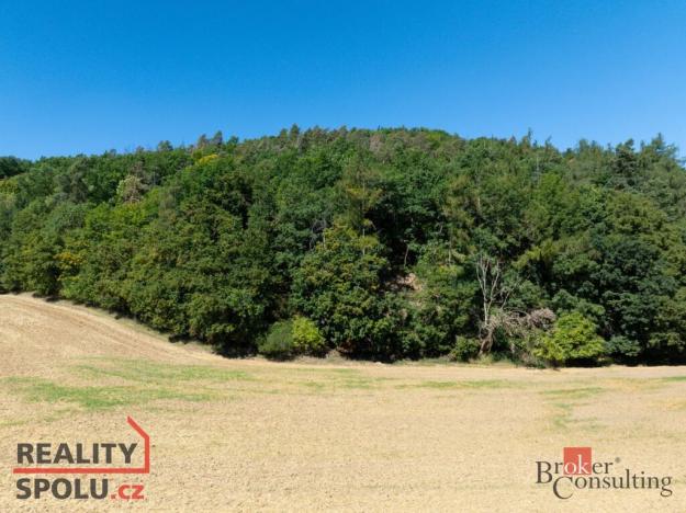 Prodej lesa, Lomnička, 8887 m2