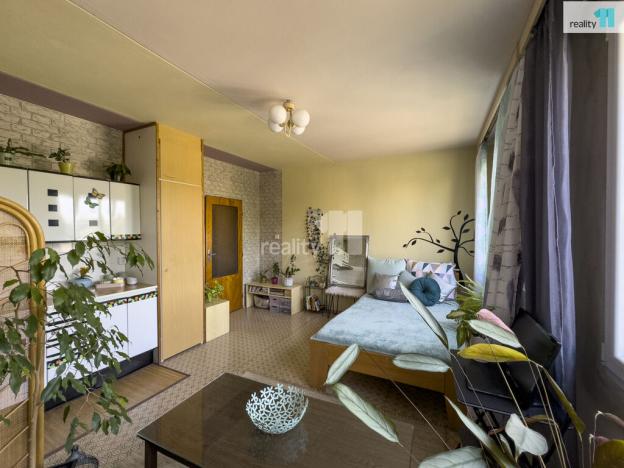 Prodej bytu 1+kk, Plzeň - Bolevec, Turistická, 27 m2