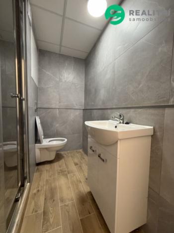 Prodej bytu 1+1, Chomutov, Skalková, 36 m2