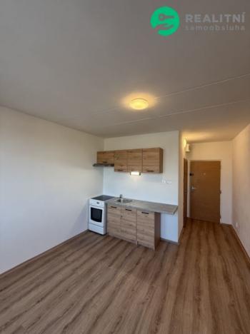 Prodej bytu 1+1, Chomutov, Skalková, 36 m2