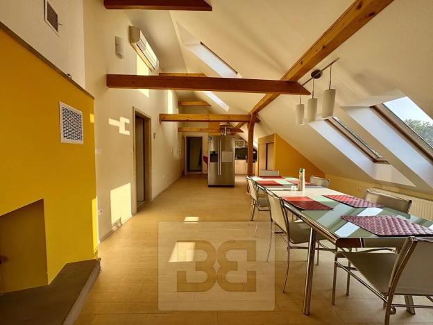 Pronájem bytu 4+kk, Velké Opatovice, Sokolská, 195 m2