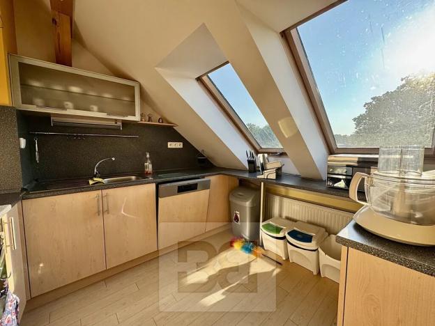 Pronájem bytu 4+kk, Velké Opatovice, Sokolská, 195 m2