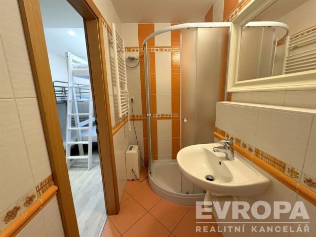 Pronájem bytu 2+kk, Plzeň - Doubravka, Mohylová, 48 m2