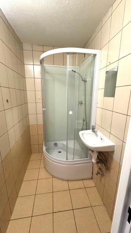 Pronájem bytu 1+kk, Ostrava, Lumírova, 28 m2