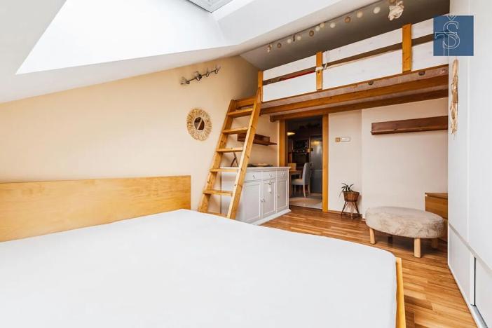 Prodej bytu 2+1, Praha - Záběhlice, Záběhlická, 48 m2