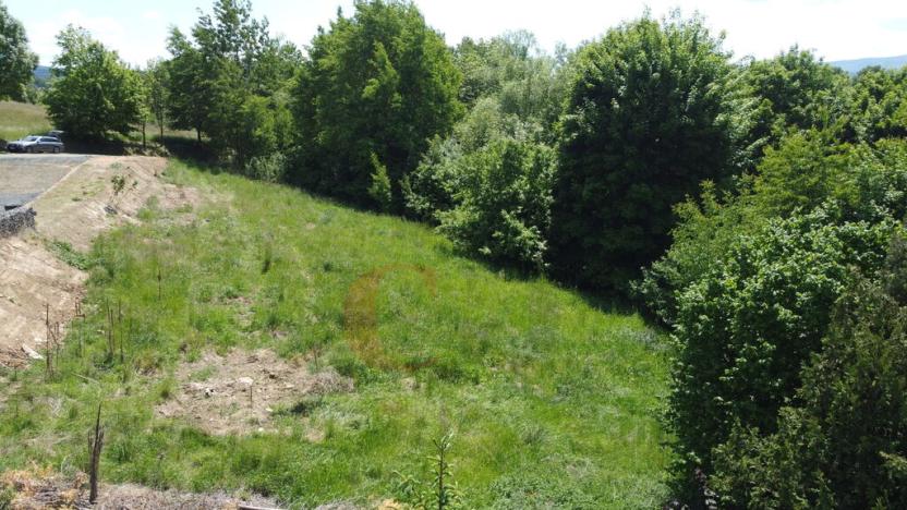 Prodej pozemku pro bydlení, Pařezov, 2050 m2