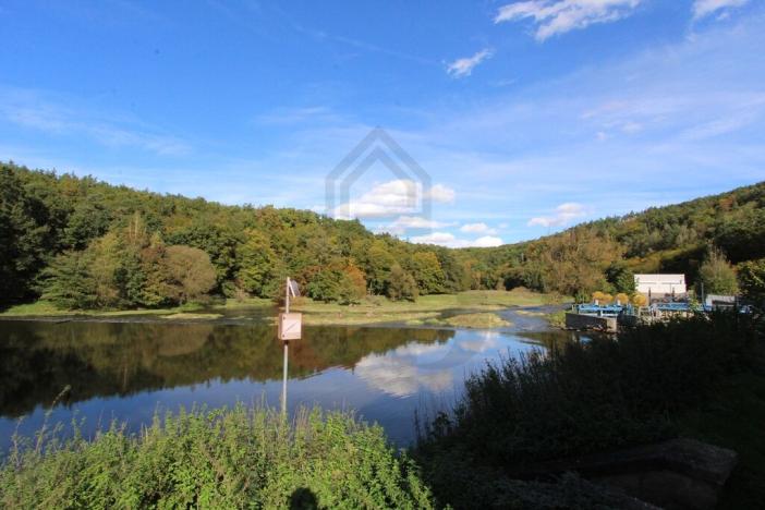 Prodej rodinného domu, Plzeň, Nad Mlýnem, 150 m2