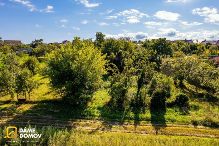Prodej zahrady, Moravský Písek, Nedakoničky, 1491 m2