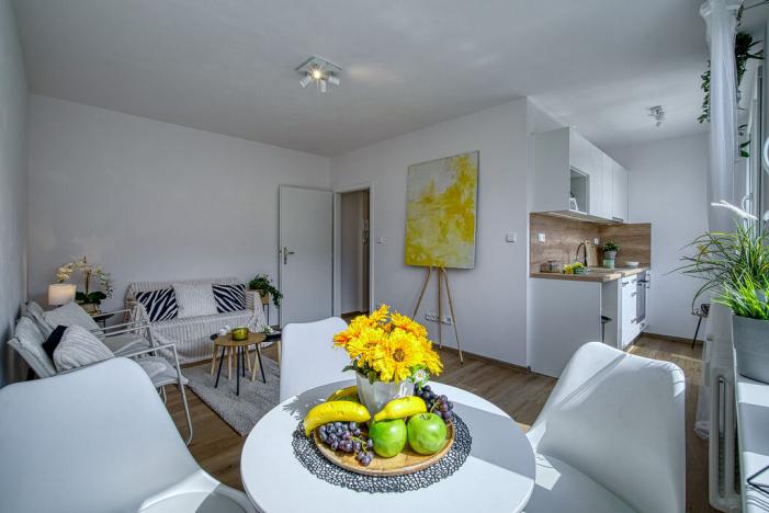 Pronájem bytu 1+kk, Most, Moskevská, 26 m2