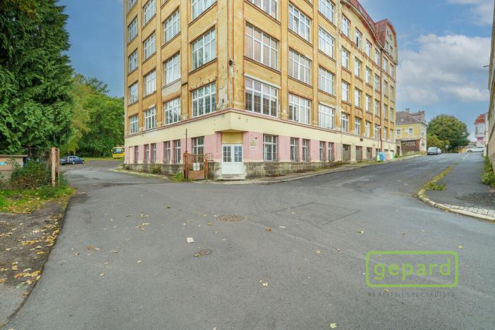 Prodej výrobních prostor, Aš, Tyršova, 4500 m2