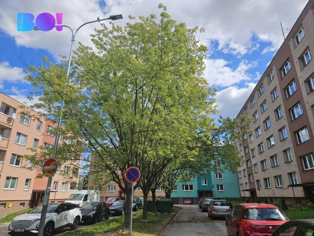 Pronájem bytu 2+1, Ostrava, Václava Košaře, 44 m2