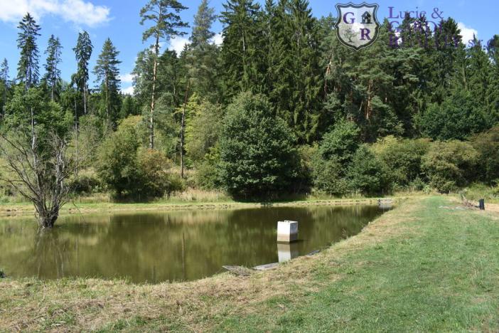 Prodej rybníku, Božetice, 11677 m2