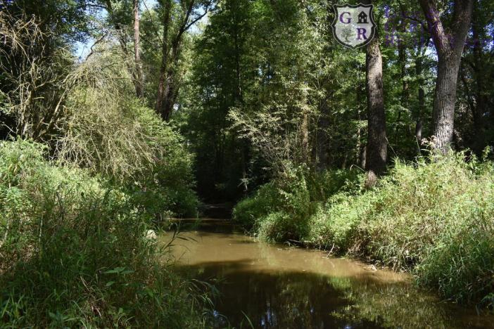 Prodej rybníku, Božetice, 11677 m2