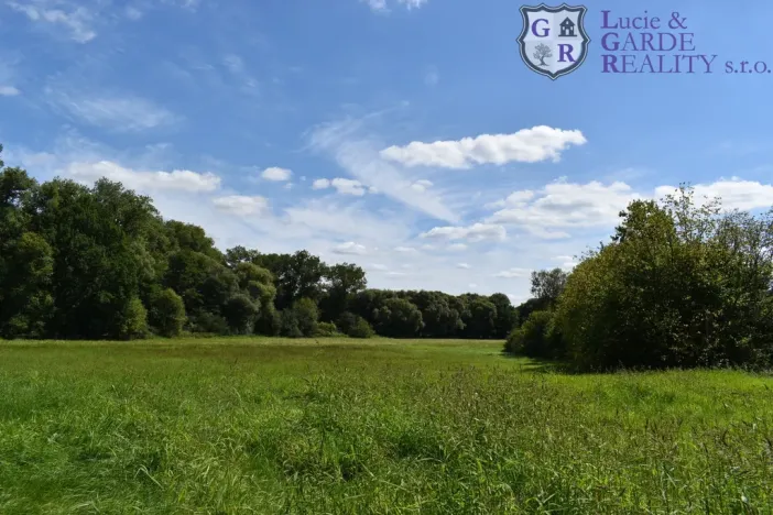 Prodej rybníku, Božetice, 11677 m2