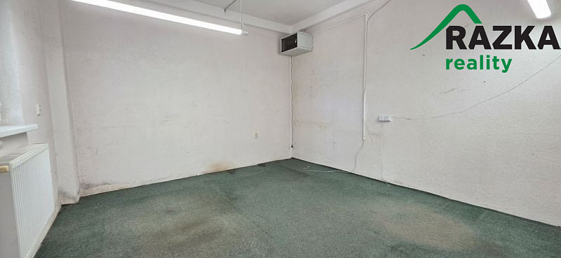 Pronájem výrobních prostor, Planá, 249 m2