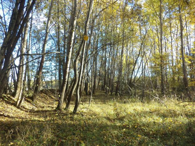 Prodej pozemku, Římov - Dolní Stropnice, 2102 m2