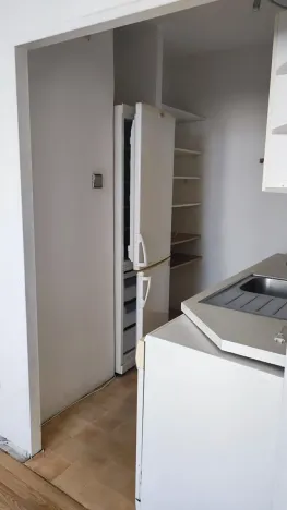 Prodej obchodního prostoru, Praha, Wenzigova, 52 m2