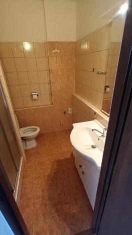 Pronájem bytu 1+1, Frýdek-Místek - Frýdek, Habrová, 41 m2