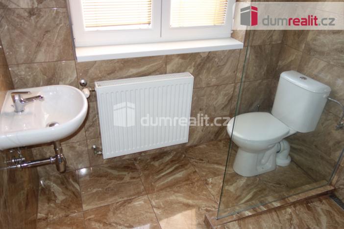 Pronájem bytu 1+1, Břeclav, Ostrov, 45 m2