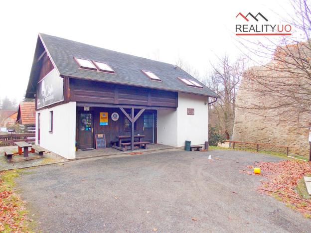 Prodej komerční, Ústí nad Orlicí - Oldřichovice, Staré Oldřichovice, 3706 m2