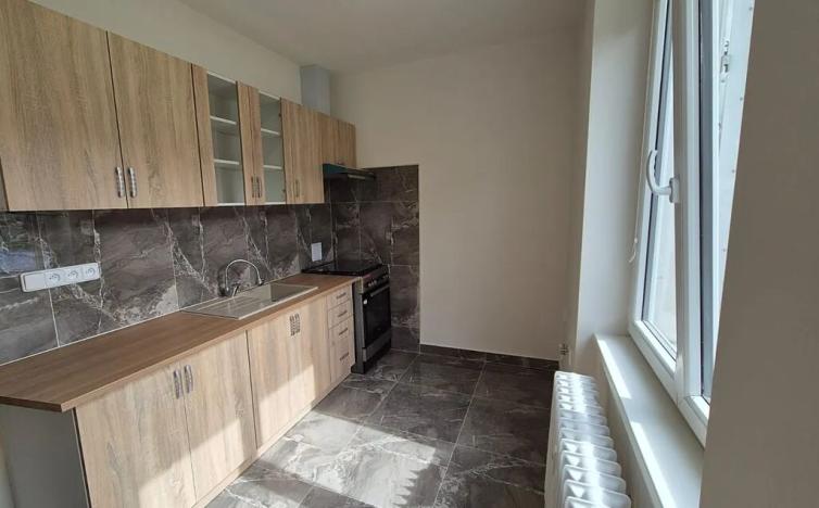 Pronájem bytu 2+1, Kraslice, Pohraniční stráže, 52 m2