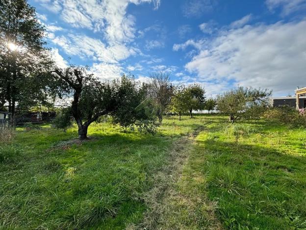 Prodej pozemku pro bydlení, Svojkovice, 2148 m2