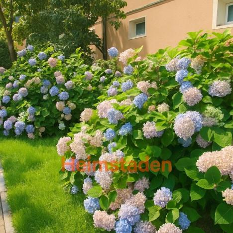 Pronájem bytu 3+1, Havířov - Město, Hybešova, 64 m2