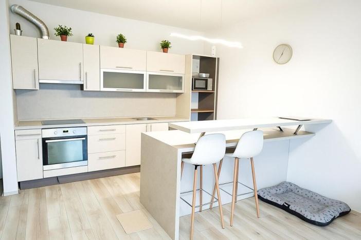 Pronájem bytu 2+kk, Mladá Boleslav - Michalovice, 79 m2