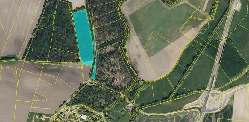 Prodej lesa, Rokytno, 44040 m2
