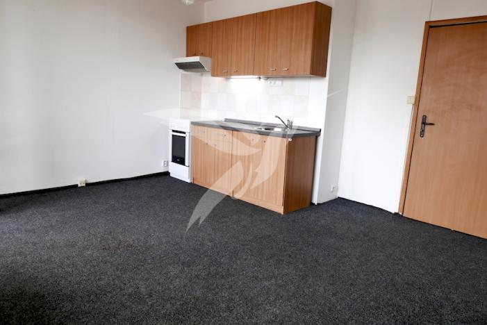 Pronájem bytu 1+kk, Plzeň, Tachovská, 29 m2