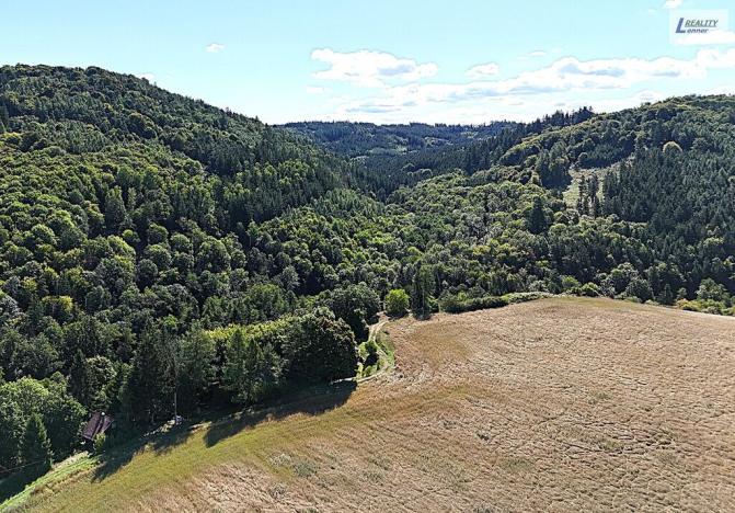 Prodej chaty, Ostrovec-Lhotka - Lhotka, 90 m2